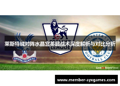 莱斯特城对阵水晶宫英超战术深度解析与对比分析