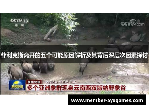 菲利克斯离开的五个可能原因解析及其背后深层次因素探讨