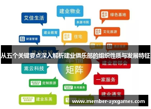 从五个关键要点深入解析建业俱乐部的组织性质与发展特征