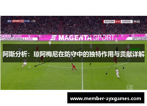 阿斯分析：琼阿梅尼在防守中的独特作用与贡献详解