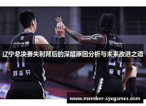 辽宁总决赛失利背后的深层原因分析与未来改进之道