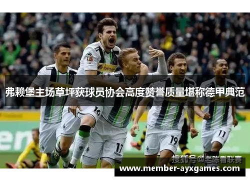 弗赖堡主场草坪获球员协会高度赞誉质量堪称德甲典范